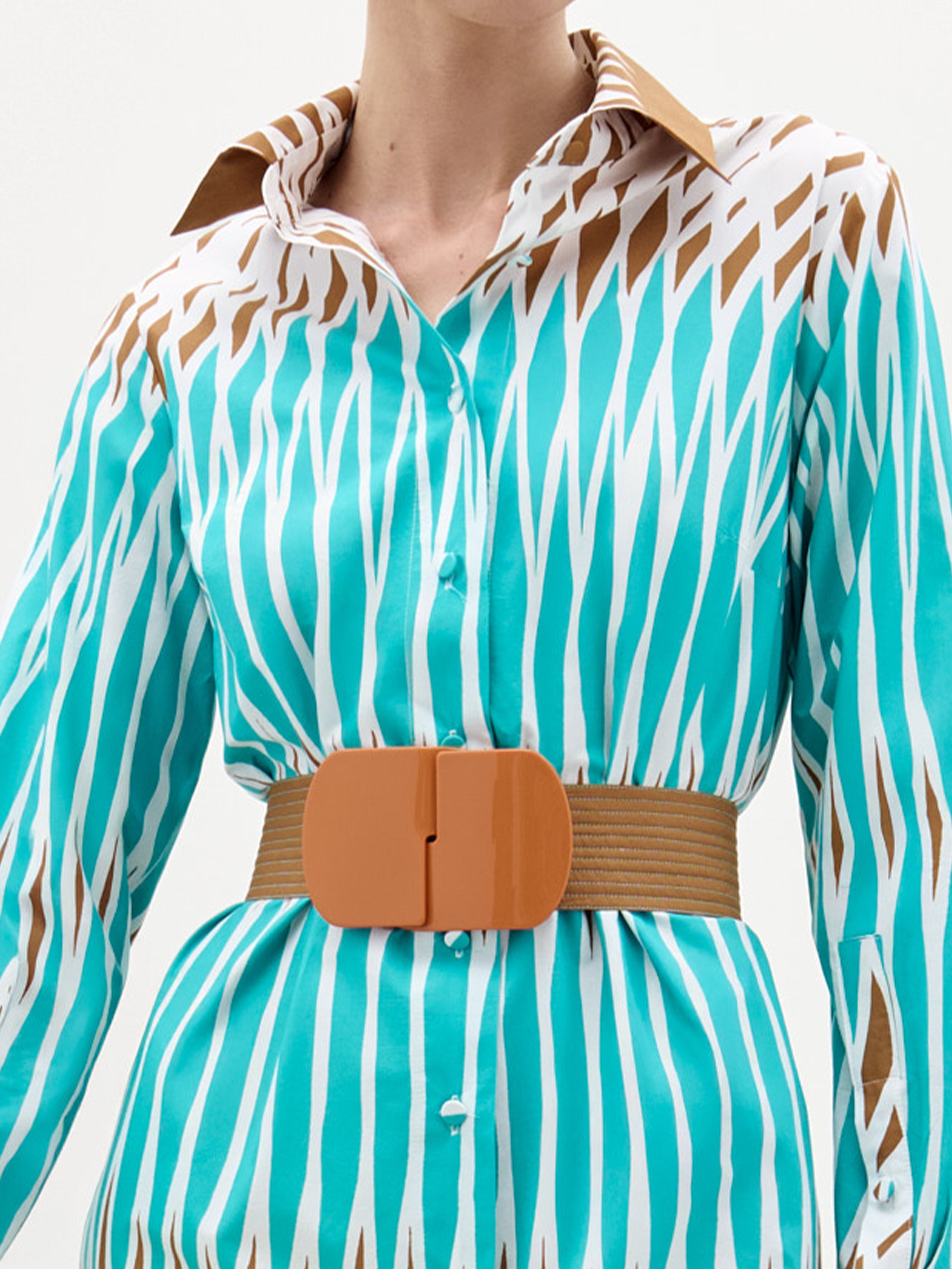 Ronzone Dress