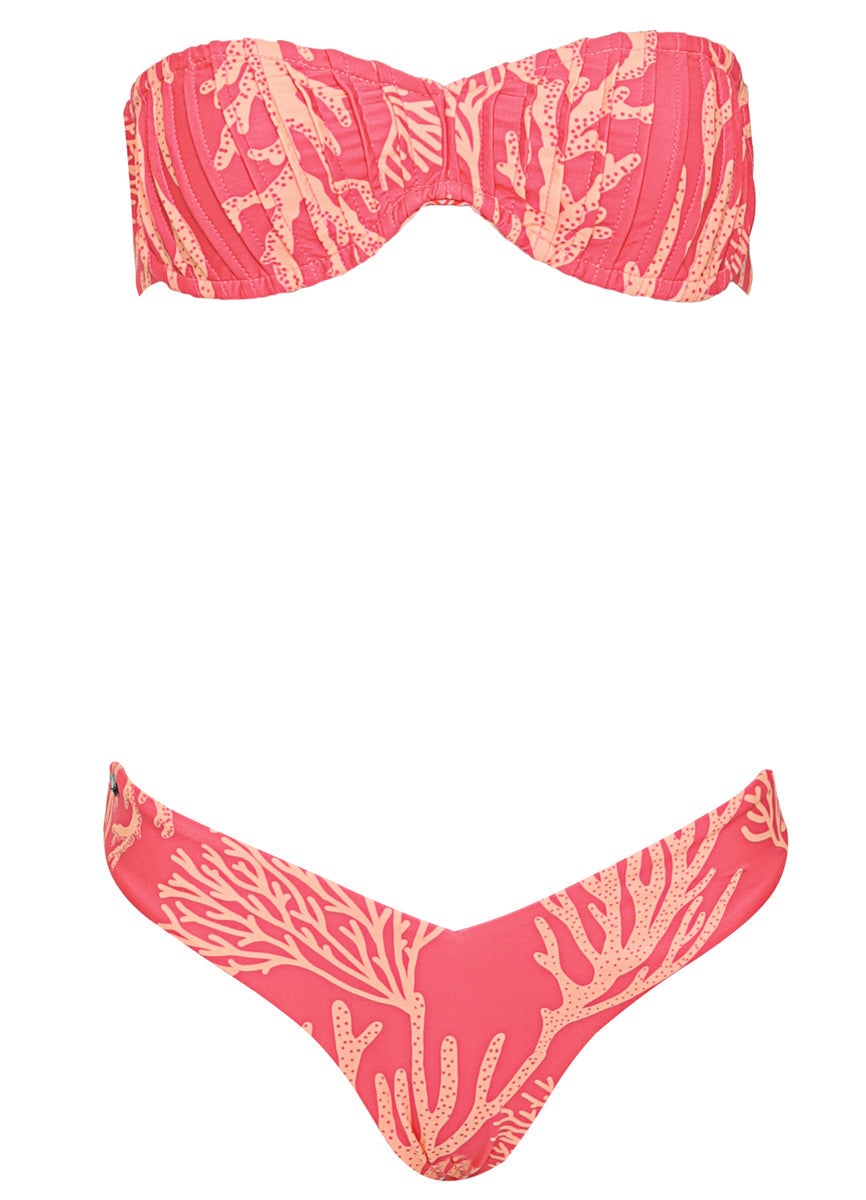 Coral Reef Valerya Regular Rise Double V Bikini Bottom