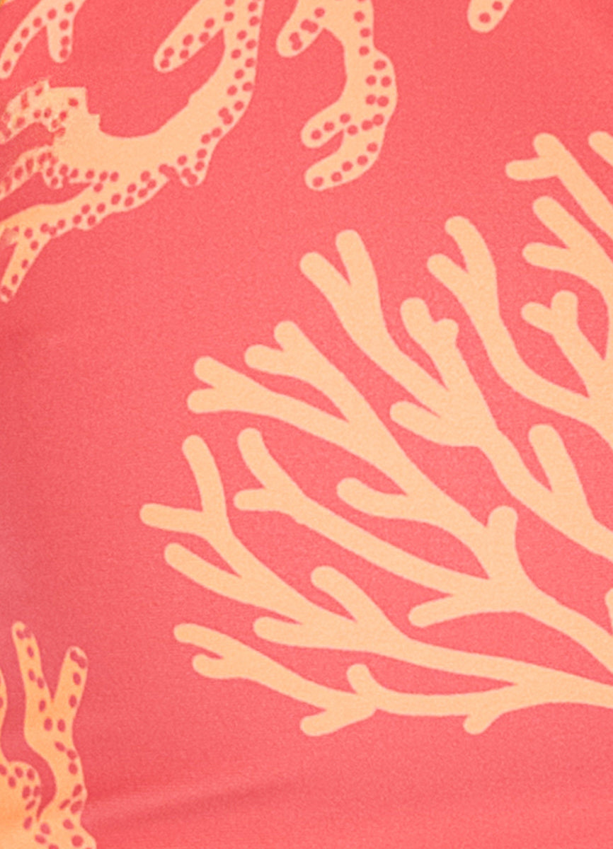 Coral Reef Valerya Regular Rise Double V Bikini Bottom